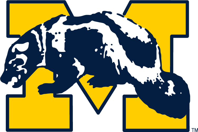 Michigan Wolverines 1964-1978 Primary Logo iron on transfers for clothing